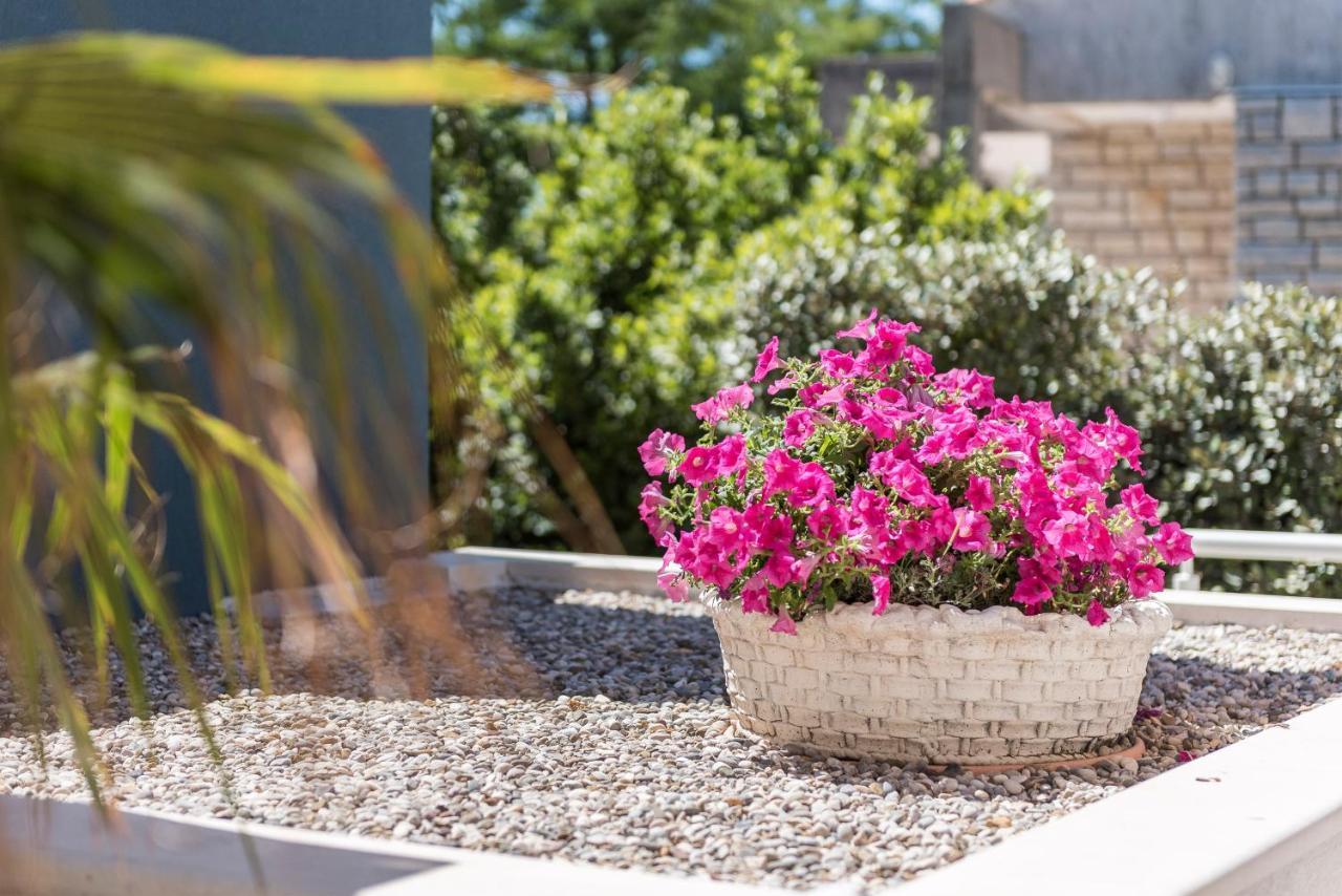 Appartamento Pool Terrace Sea View Sarkic Novaglia Esterno foto